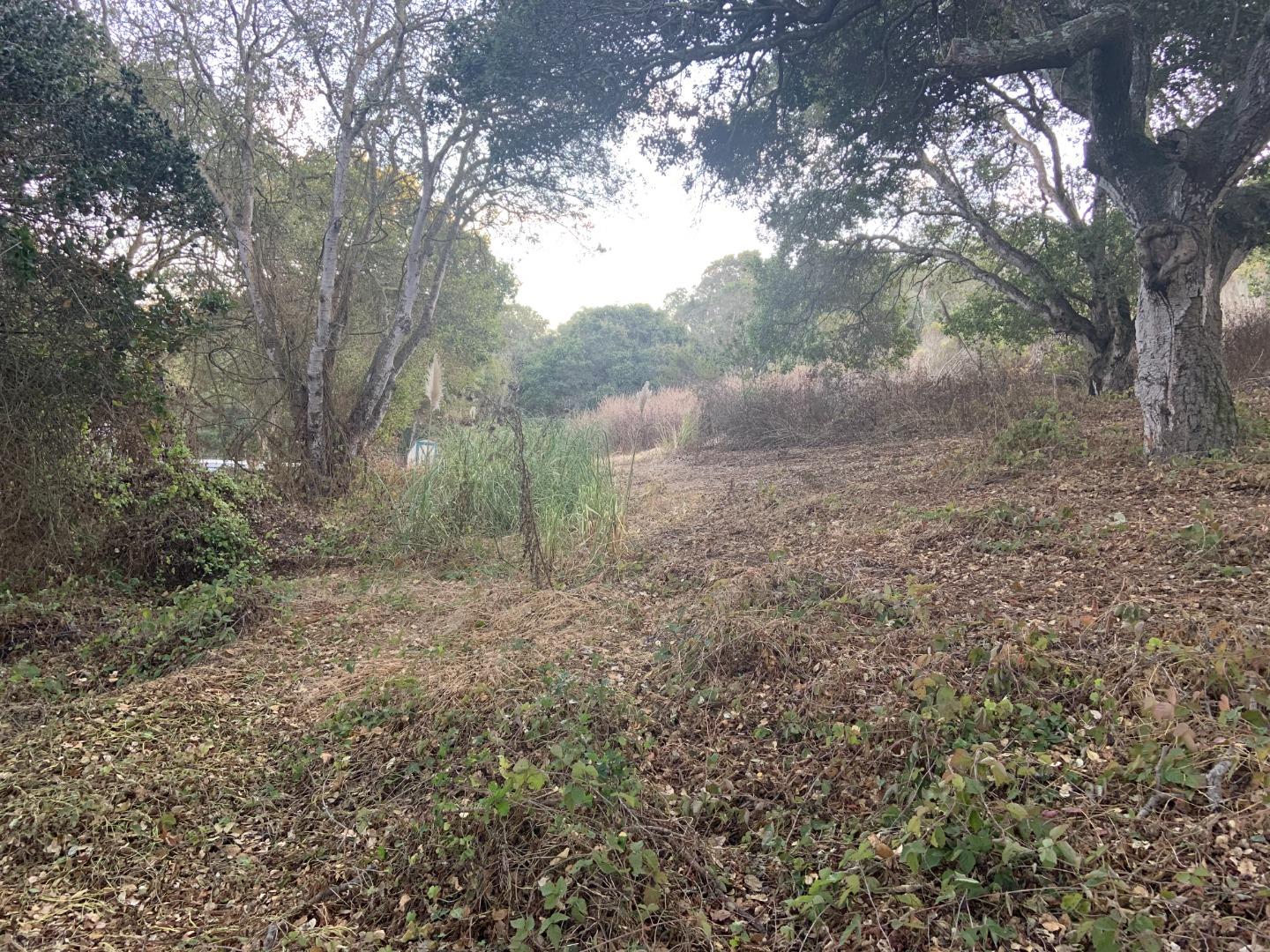 0 Las Lomas Drive, ROYAL OAKS, California 95076, ,Lots And Land,For Sale,Las Lomas Drive,40962209