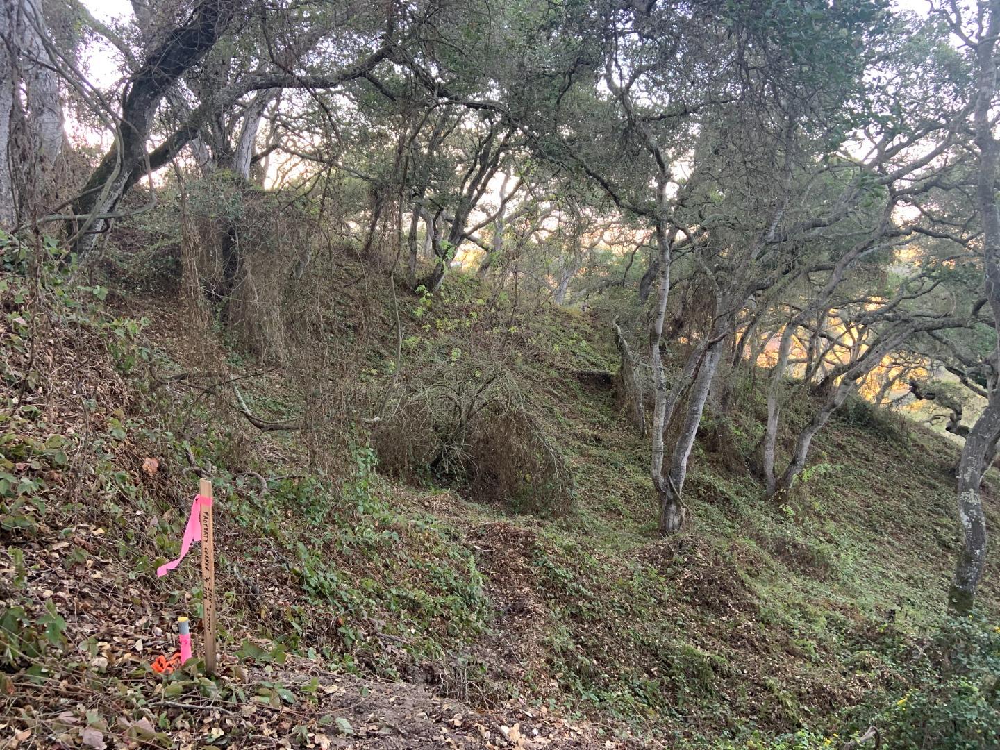 0 Las Lomas Drive, ROYAL OAKS, California 95076, ,Lots And Land,For Sale,Las Lomas Drive,40962209