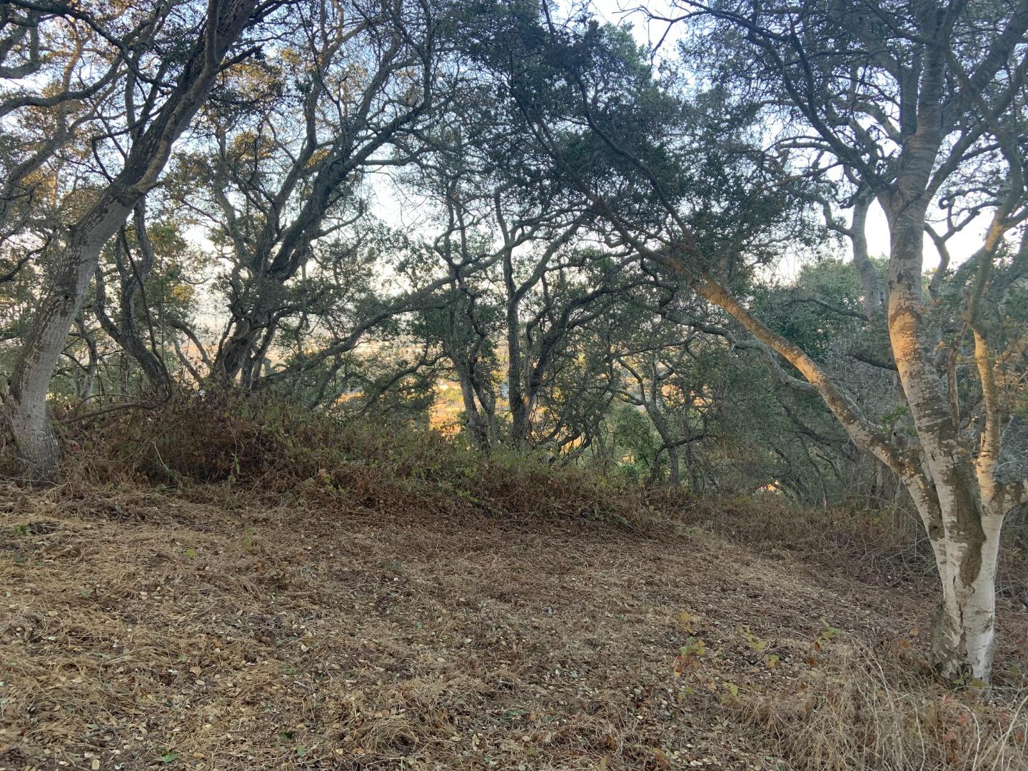 0 Las Lomas Drive, ROYAL OAKS, California 95076, ,Lots And Land,For Sale,Las Lomas Drive,40962209