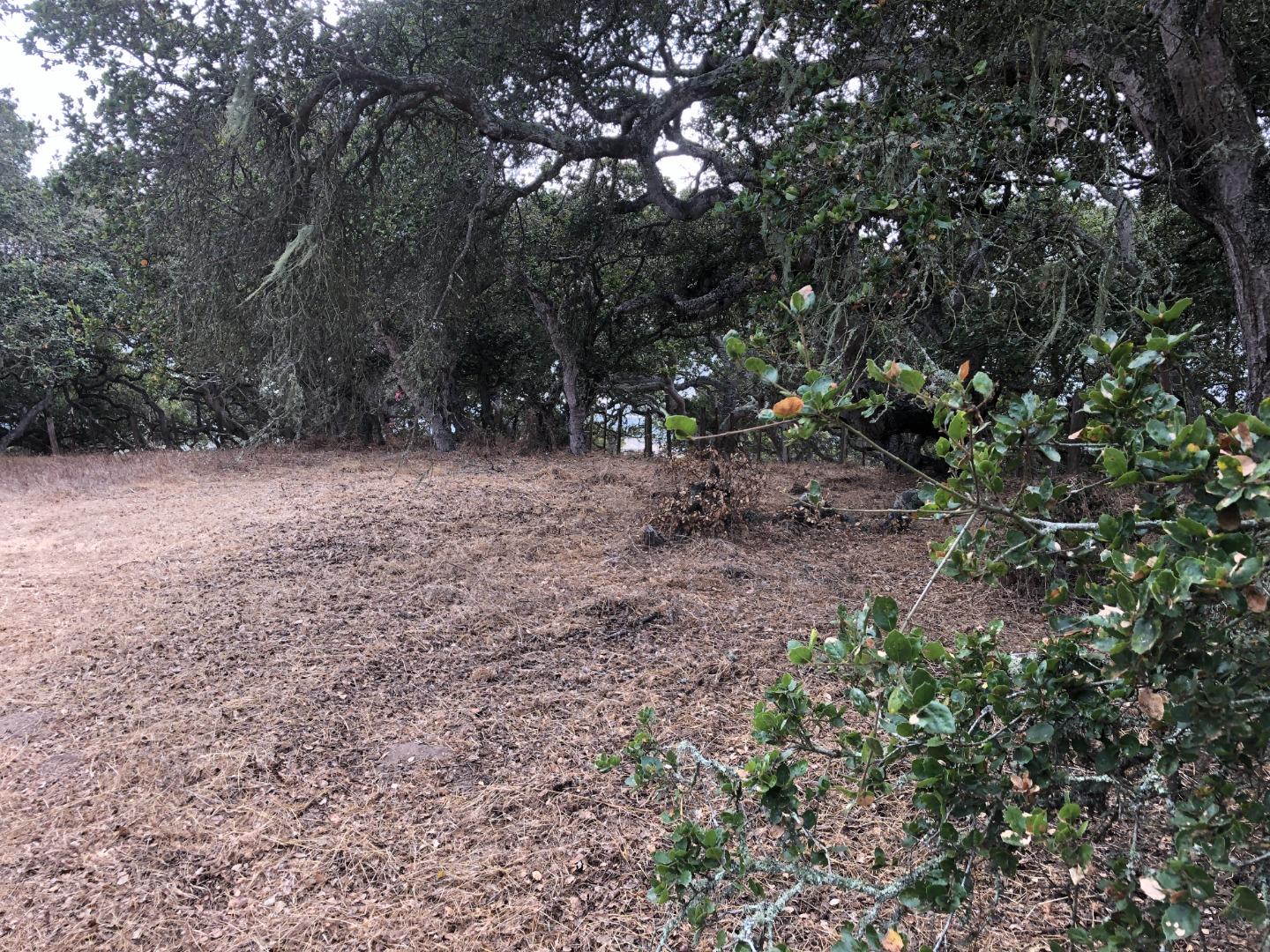 0 Las Lomas Drive, ROYAL OAKS, California 95076, ,Lots And Land,For Sale,Las Lomas Drive,40962209