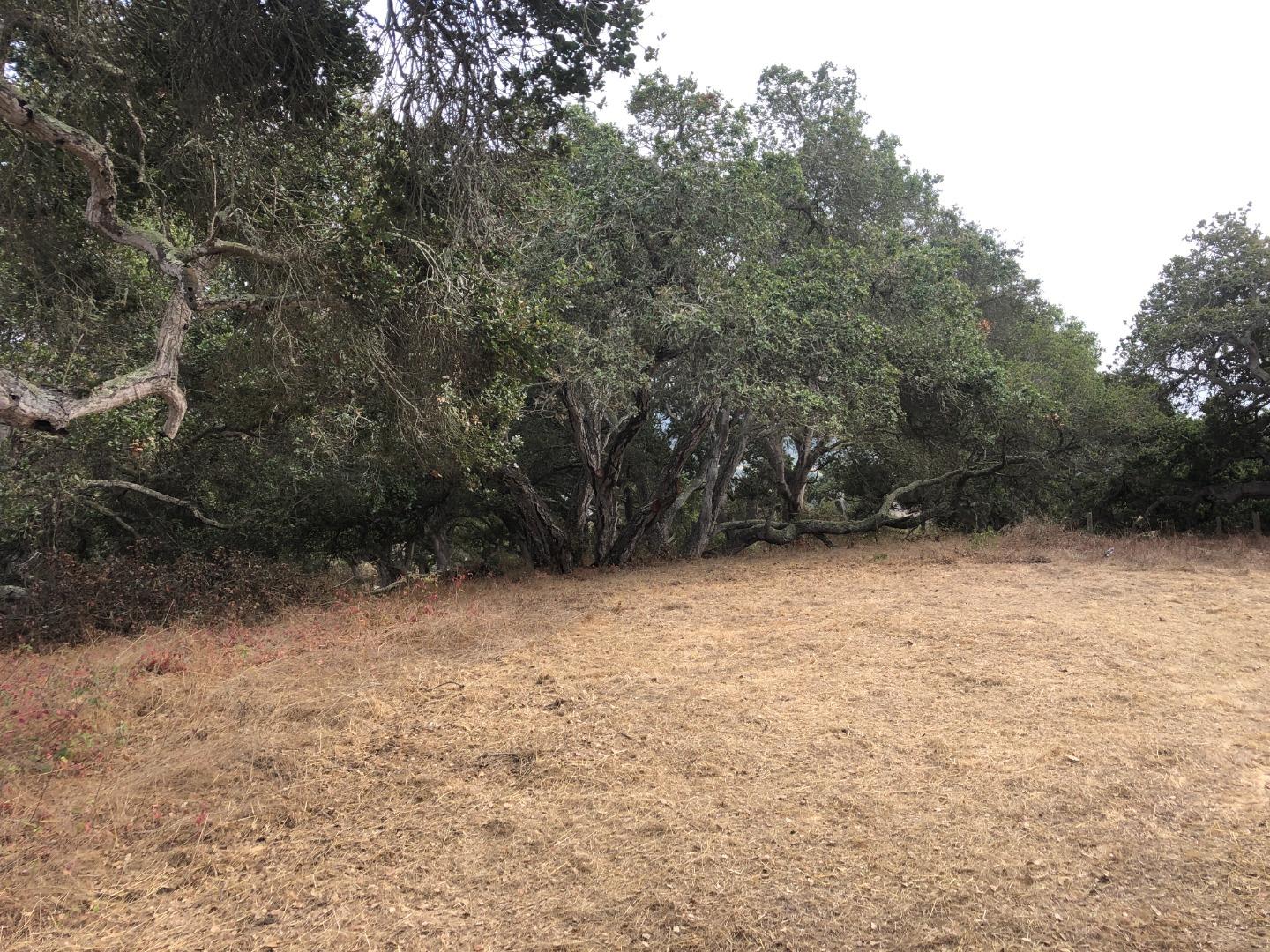 0 Las Lomas Drive, ROYAL OAKS, California 95076, ,Lots And Land,For Sale,Las Lomas Drive,40962209