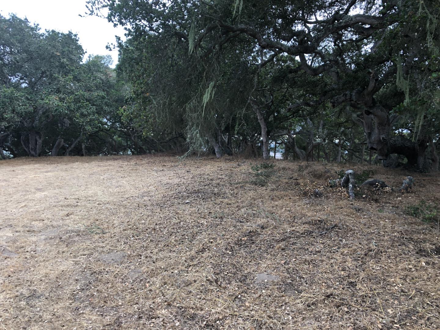 0 Las Lomas Drive, ROYAL OAKS, California 95076, ,Lots And Land,For Sale,Las Lomas Drive,40962209