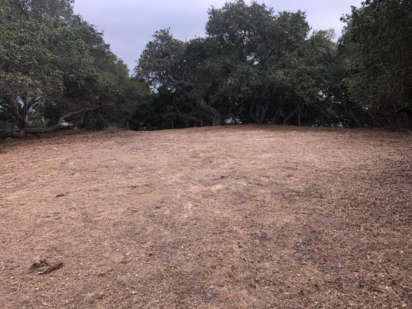 0 Las Lomas Drive, ROYAL OAKS, California 95076, ,Lots And Land,For Sale,Las Lomas Drive,40962209