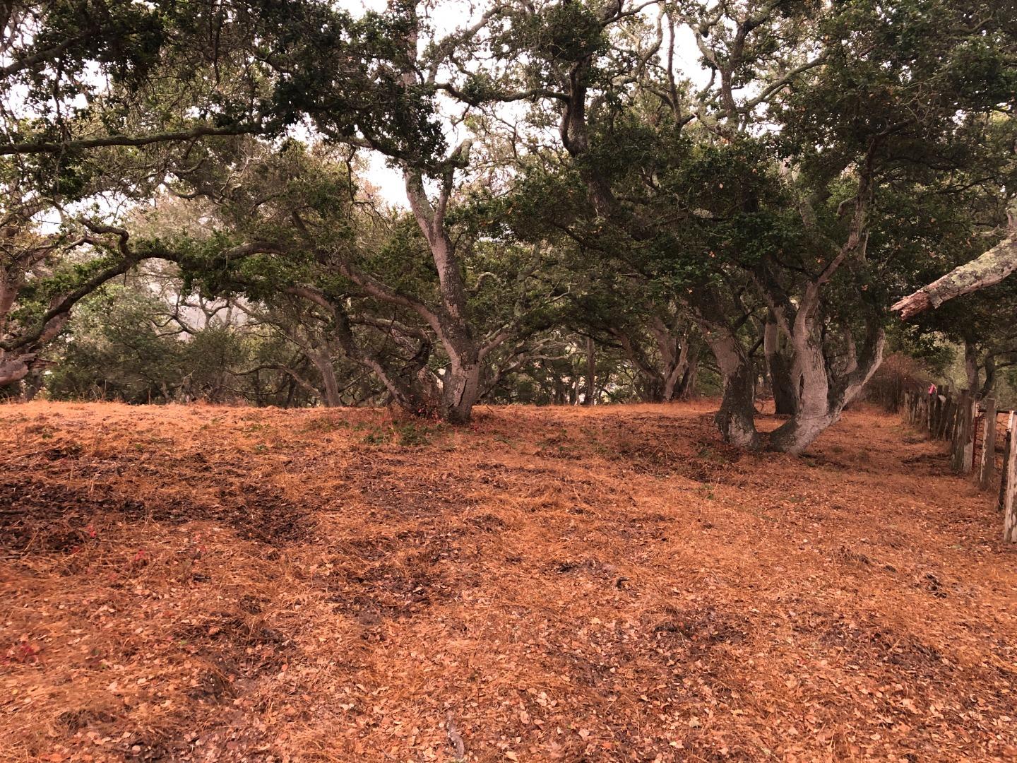 0 Las Lomas Drive, ROYAL OAKS, California 95076, ,Lots And Land,For Sale,Las Lomas Drive,40962209