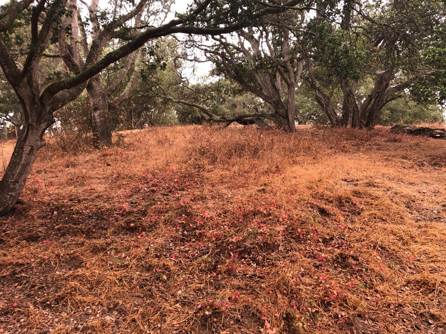 0 Las Lomas Drive, ROYAL OAKS, California 95076, ,Lots And Land,For Sale,Las Lomas Drive,40962209