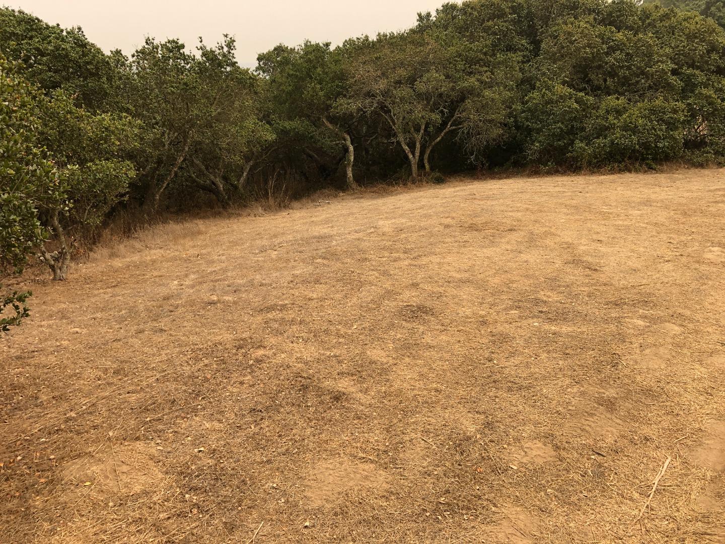 0 Las Lomas Drive, ROYAL OAKS, California 95076, ,Lots And Land,For Sale,Las Lomas Drive,40962209