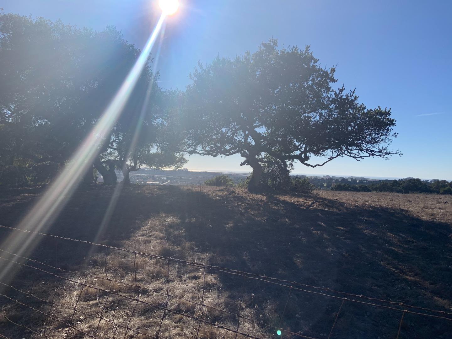 0 Las Lomas Drive, ROYAL OAKS, California 95076, ,Lots And Land,For Sale,Las Lomas Drive,40962209