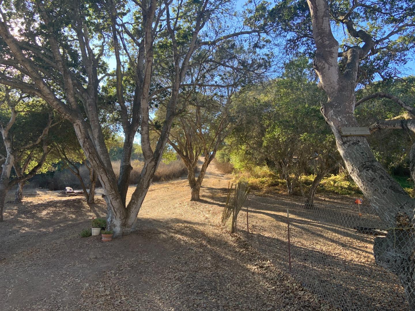 0 Las Lomas Drive, ROYAL OAKS, California 95076, ,Lots And Land,For Sale,Las Lomas Drive,40962209
