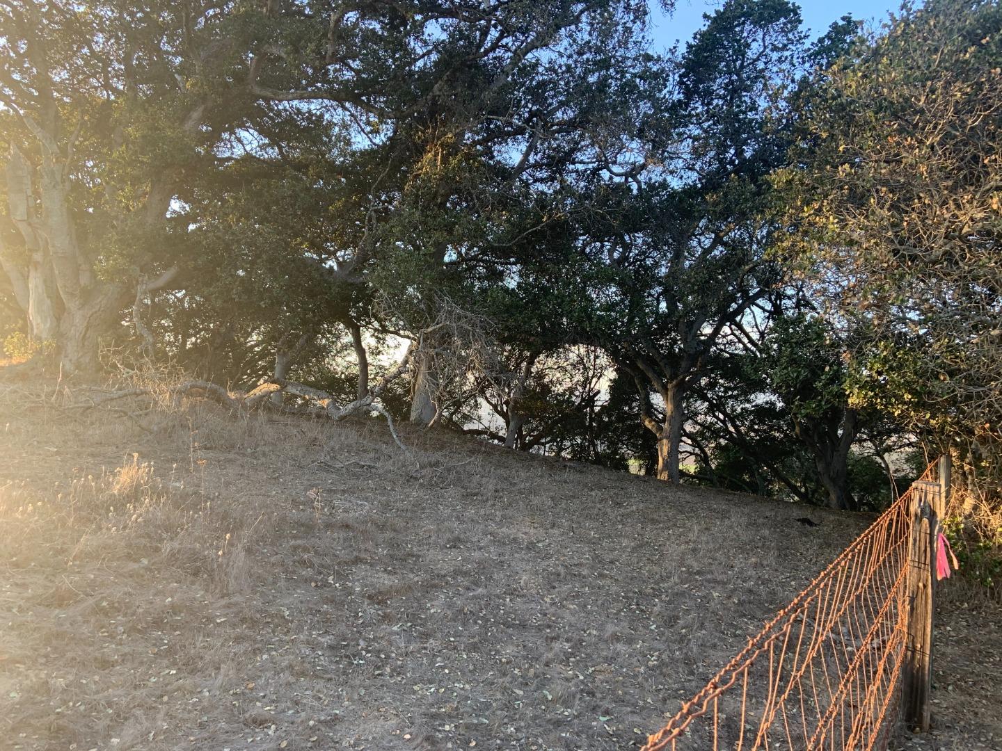 0 Las Lomas Drive, ROYAL OAKS, California 95076, ,Lots And Land,For Sale,Las Lomas Drive,40962209