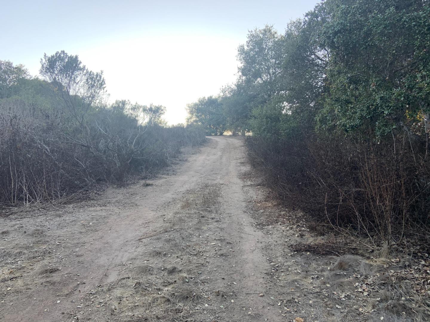 0 Las Lomas Drive, ROYAL OAKS, California 95076, ,Lots And Land,For Sale,Las Lomas Drive,40962209