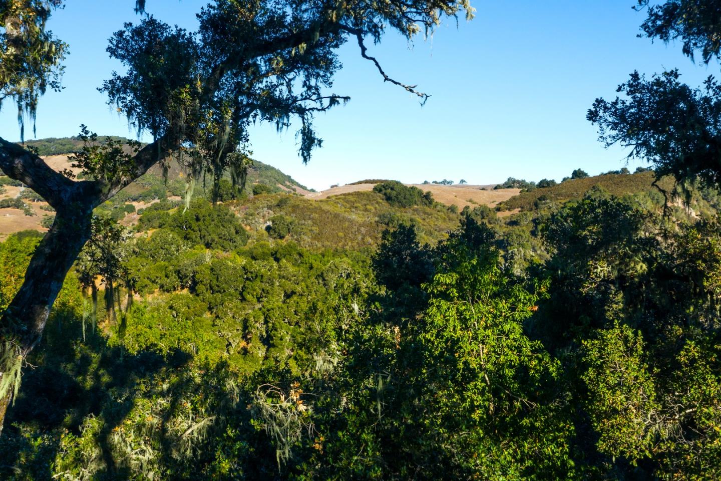 5 Vasquez Trail, CARMEL, California 93923, ,Lots And Land,For Sale,Vasquez Trail,40964980