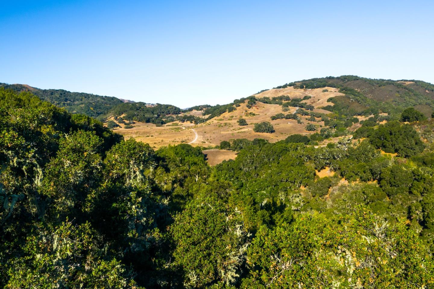 5 Vasquez Trail, CARMEL, California 93923, ,Lots And Land,For Sale,Vasquez Trail,40964980