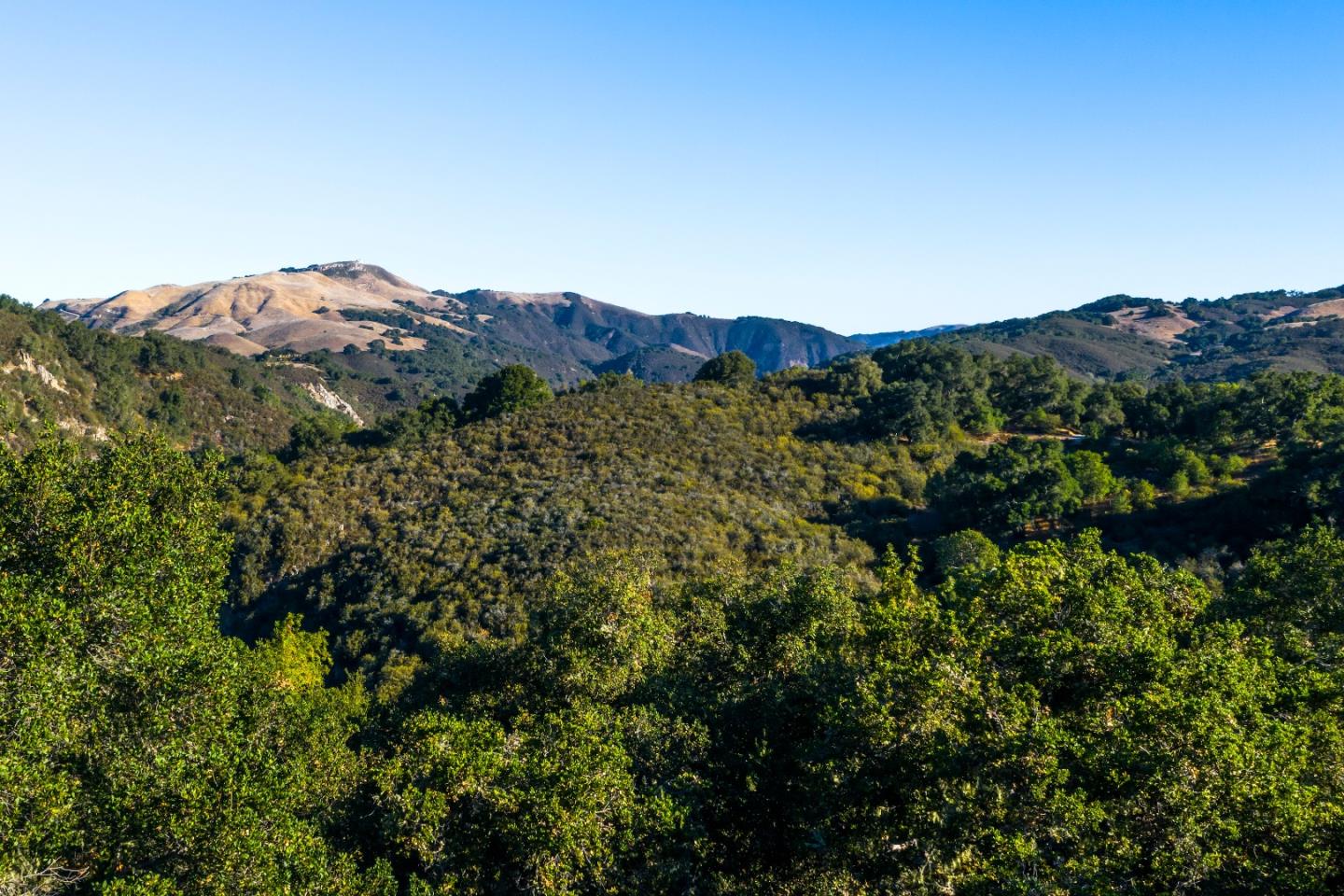 5 Vasquez Trail, CARMEL, California 93923, ,Lots And Land,For Sale,Vasquez Trail,40964980