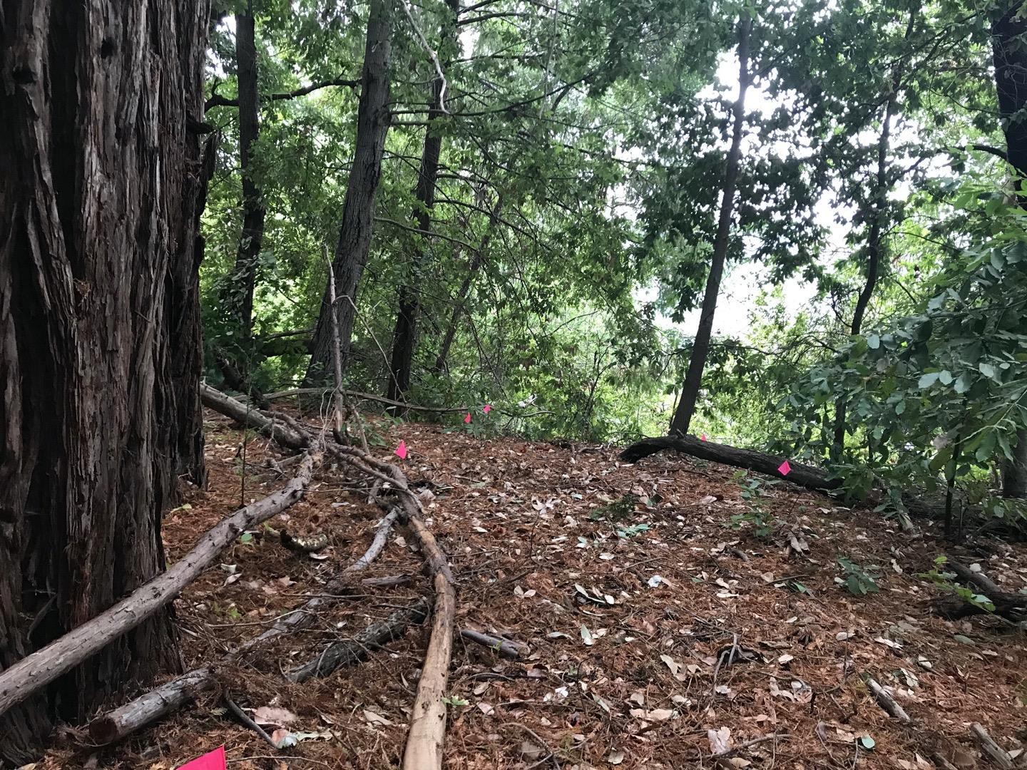 0 Hillary Heights, BOULDER CREEK, California 95006, ,Lots And Land,For Sale,Hillary Heights,40965648