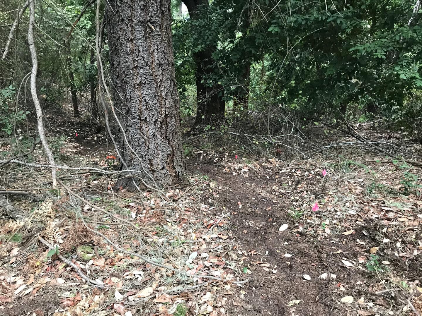 0 Hillary Heights, BOULDER CREEK, California 95006, ,Lots And Land,For Sale,Hillary Heights,40965648
