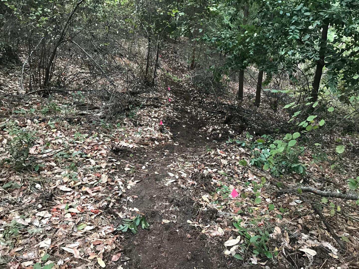 0 Hillary Heights, BOULDER CREEK, California 95006, ,Lots And Land,For Sale,Hillary Heights,40965648
