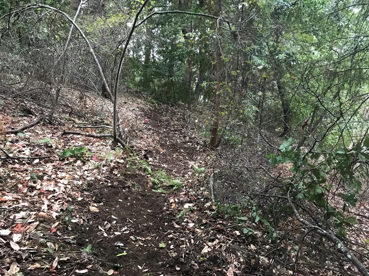 0 Hillary Heights, BOULDER CREEK, California 95006, ,Lots And Land,For Sale,Hillary Heights,40965648