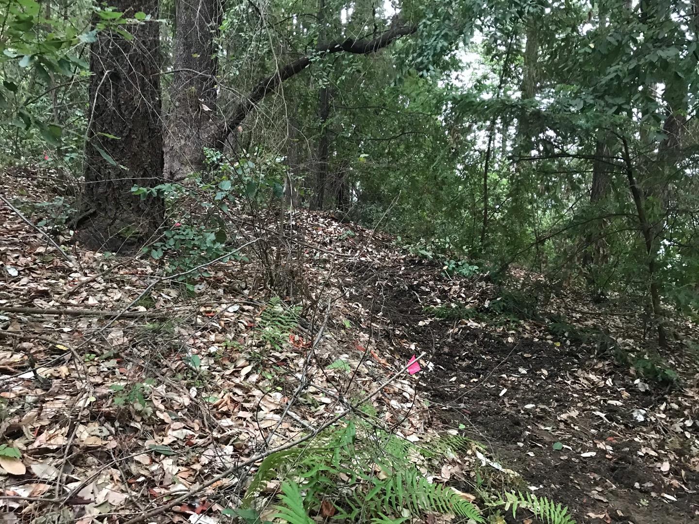 0 Hillary Heights, BOULDER CREEK, California 95006, ,Lots And Land,For Sale,Hillary Heights,40965648