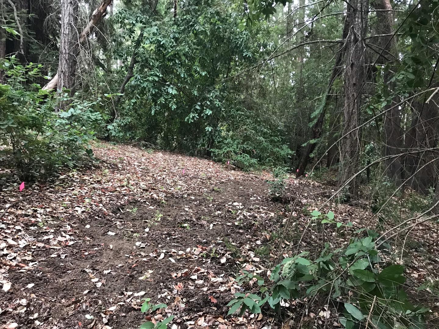 0 Hillary Heights, BOULDER CREEK, California 95006, ,Lots And Land,For Sale,Hillary Heights,40965648