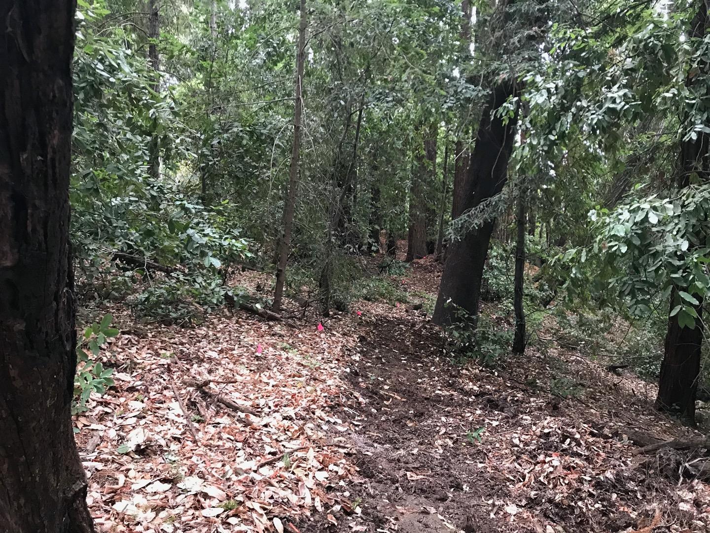 0 Hillary Heights, BOULDER CREEK, California 95006, ,Lots And Land,For Sale,Hillary Heights,40965648