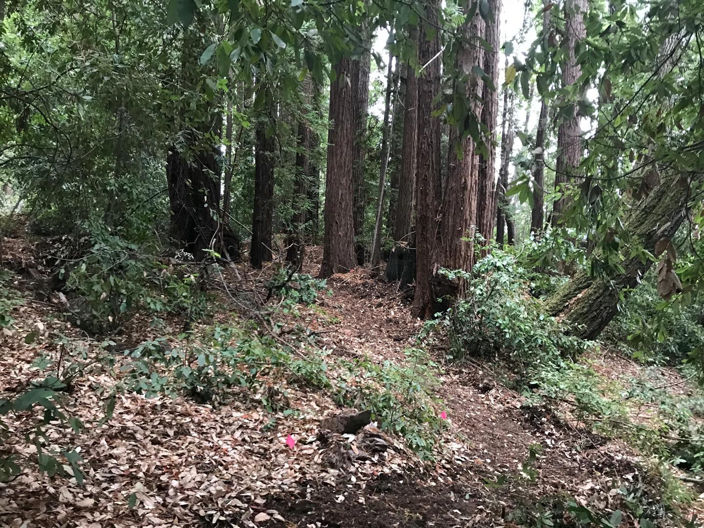 0 Hillary Heights, BOULDER CREEK, California 95006, ,Lots And Land,For Sale,Hillary Heights,40965648