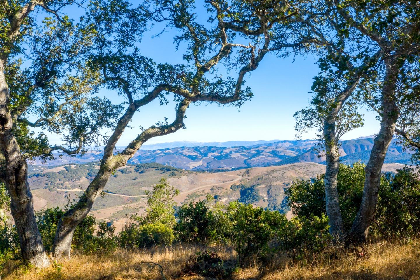 13 Cantera Run, CARMEL, California 93923, ,Lots And Land,For Sale,Cantera Run,40963138