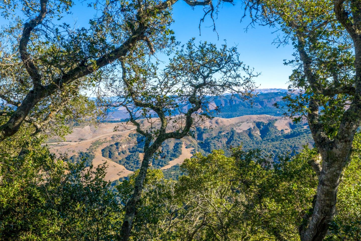 13 Cantera Run, CARMEL, California 93923, ,Lots And Land,For Sale,Cantera Run,40963138