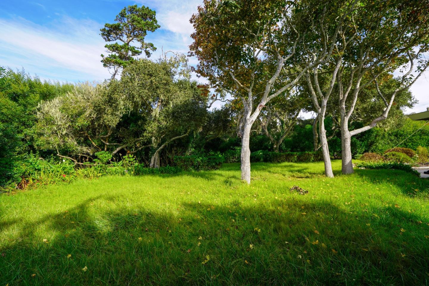 1029 Rodeo Road, PEBBLE BEACH, California 93953, ,Lots And Land,For Sale,Rodeo Road,40963248