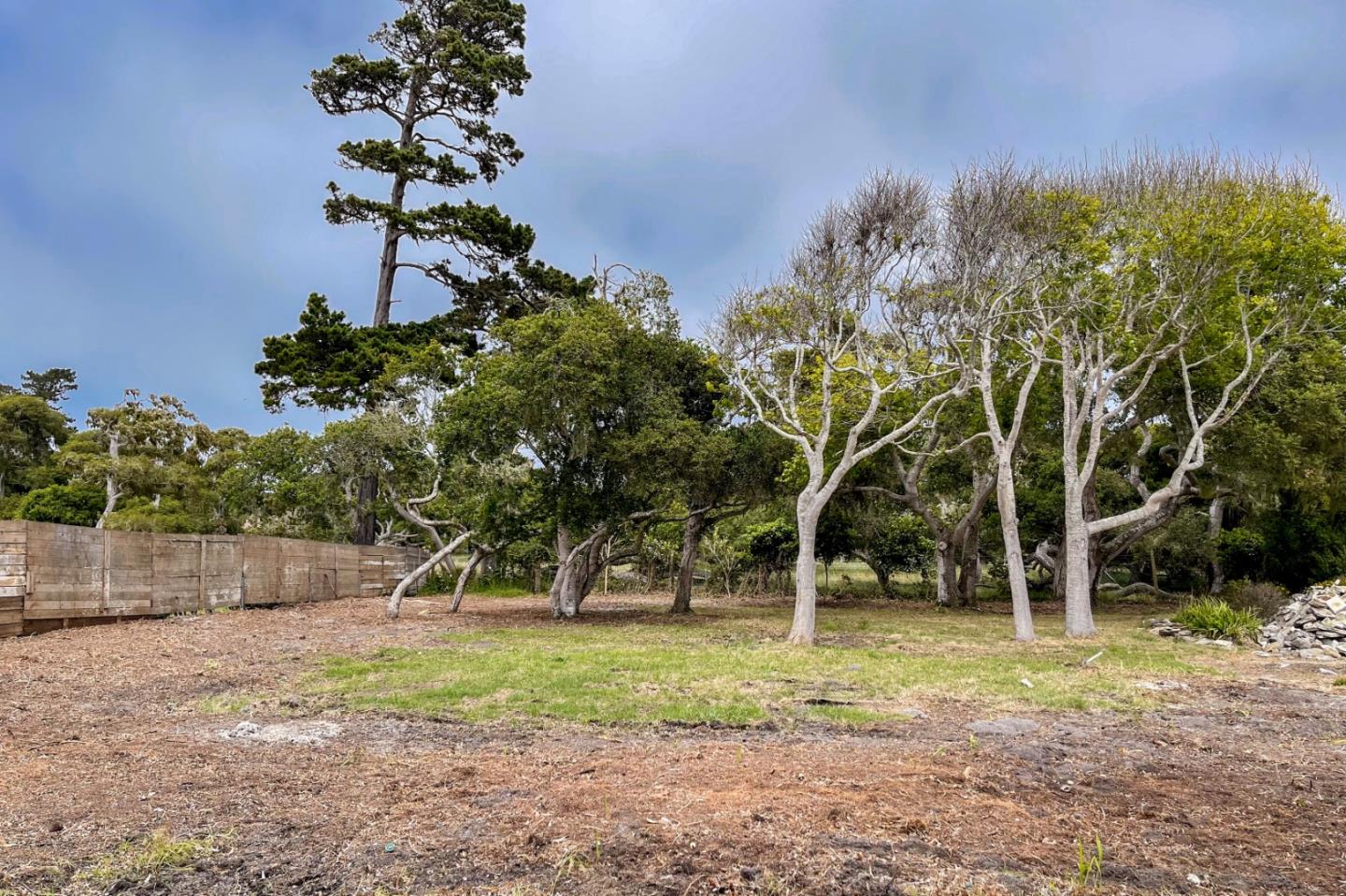 1029 Rodeo Road, PEBBLE BEACH, California 93953, ,Lots And Land,For Sale,Rodeo Road,40963248