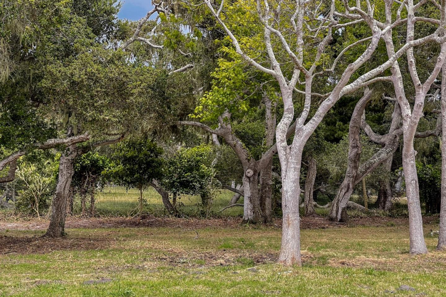 1029 Rodeo Road, PEBBLE BEACH, California 93953, ,Lots And Land,For Sale,Rodeo Road,40963248