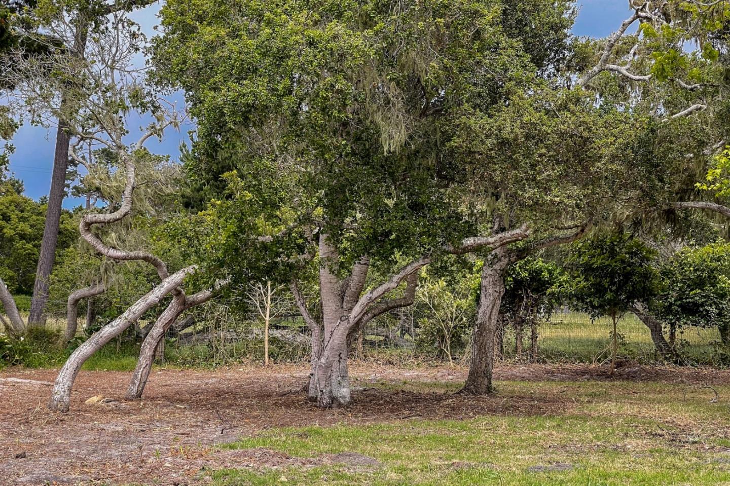 1029 Rodeo Road, PEBBLE BEACH, California 93953, ,Lots And Land,For Sale,Rodeo Road,40963248