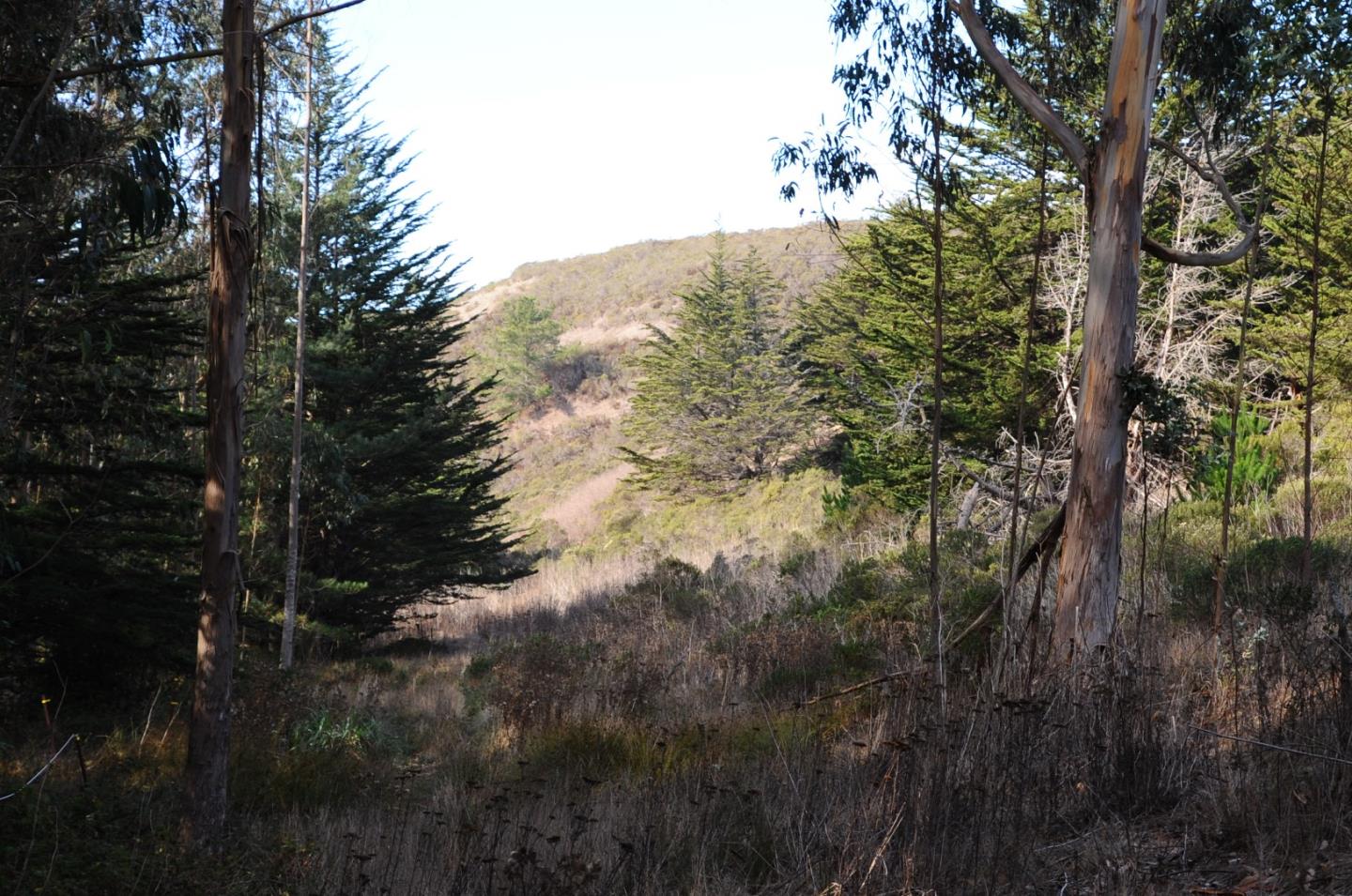 425 DEHOFF CANYON Road, HALF MOON BAY, California 94019, ,Lots And Land,For Sale,DEHOFF CANYON Road,40962284