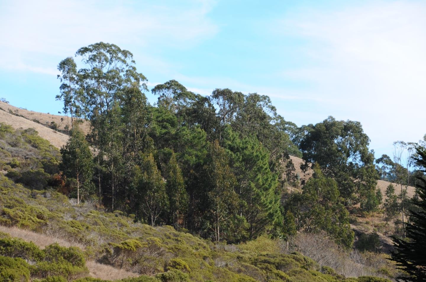 425 DEHOFF CANYON Road, HALF MOON BAY, California 94019, ,Lots And Land,For Sale,DEHOFF CANYON Road,40962284