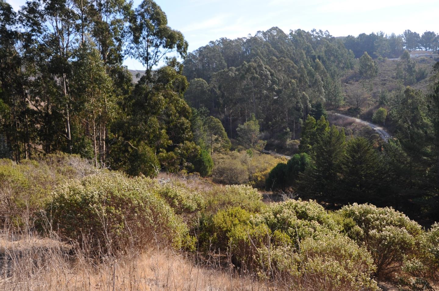 425 DEHOFF CANYON Road, HALF MOON BAY, California 94019, ,Lots And Land,For Sale,DEHOFF CANYON Road,40962284