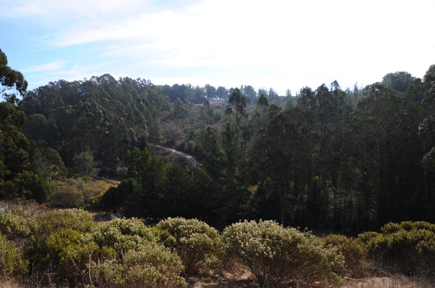 425 DEHOFF CANYON Road, HALF MOON BAY, California 94019, ,Lots And Land,For Sale,DEHOFF CANYON Road,40962284