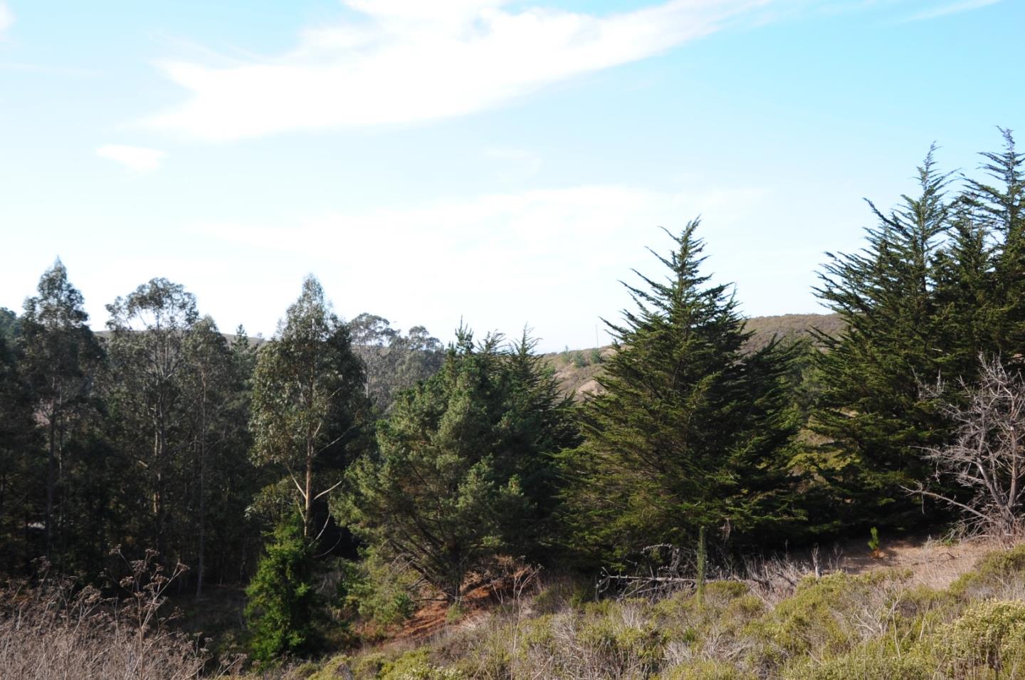 425 DEHOFF CANYON Road, HALF MOON BAY, California 94019, ,Lots And Land,For Sale,DEHOFF CANYON Road,40962284
