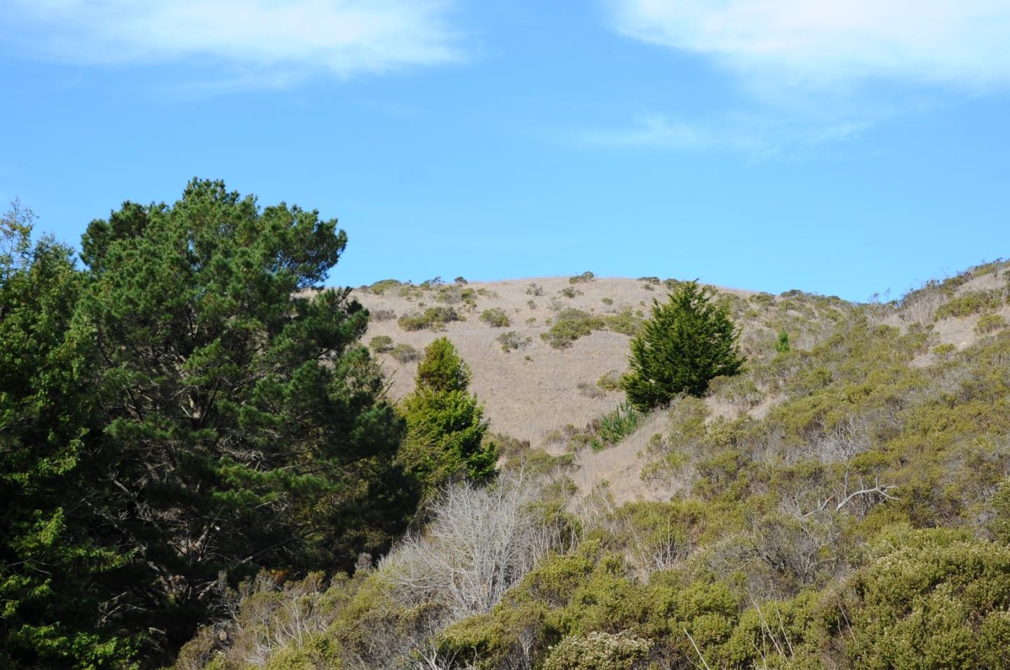 425 DEHOFF CANYON Road, HALF MOON BAY, California 94019, ,Lots And Land,For Sale,DEHOFF CANYON Road,40962284