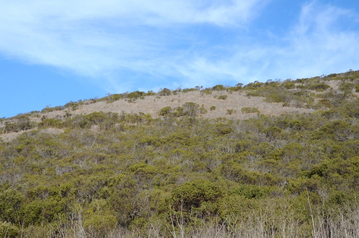 425 DEHOFF CANYON Road, HALF MOON BAY, California 94019, ,Lots And Land,For Sale,DEHOFF CANYON Road,40962284