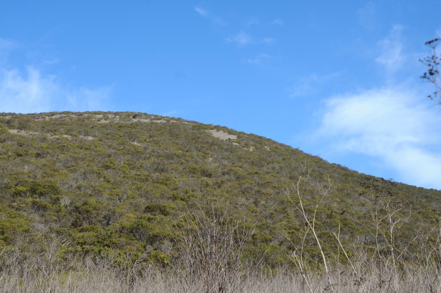 425 DEHOFF CANYON Road, HALF MOON BAY, California 94019, ,Lots And Land,For Sale,DEHOFF CANYON Road,40962284