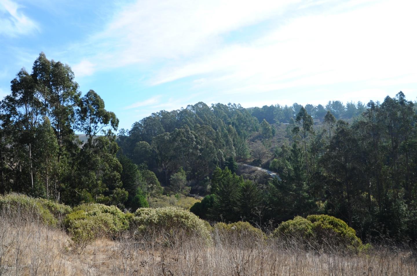 425 DEHOFF CANYON Road, HALF MOON BAY, California 94019, ,Lots And Land,For Sale,DEHOFF CANYON Road,40962284