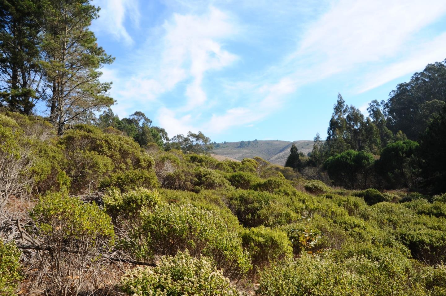 425 DEHOFF CANYON Road, HALF MOON BAY, California 94019, ,Lots And Land,For Sale,DEHOFF CANYON Road,40962284