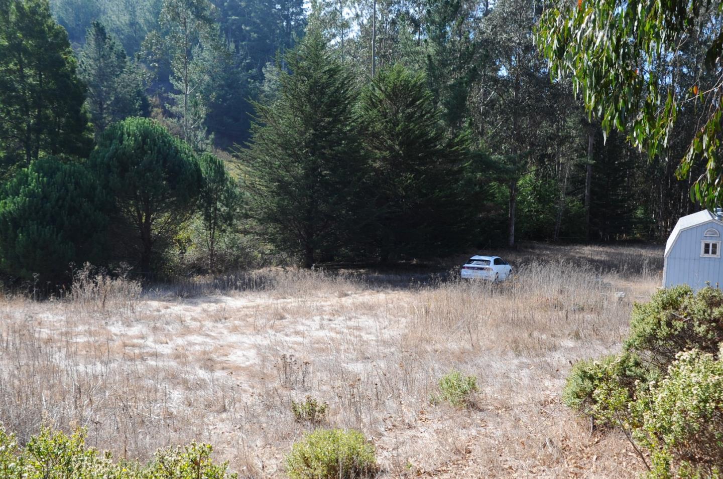 425 DEHOFF CANYON Road, HALF MOON BAY, California 94019, ,Lots And Land,For Sale,DEHOFF CANYON Road,40962284