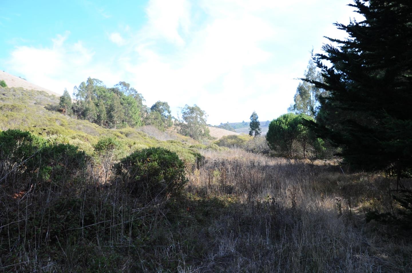 425 DEHOFF CANYON Road, HALF MOON BAY, California 94019, ,Lots And Land,For Sale,DEHOFF CANYON Road,40962284