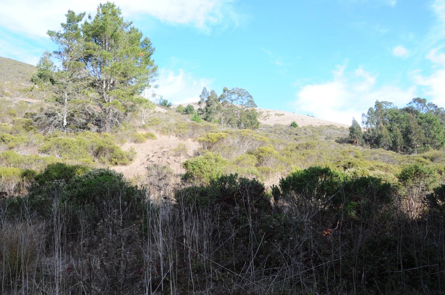 425 DEHOFF CANYON Road, HALF MOON BAY, California 94019, ,Lots And Land,For Sale,DEHOFF CANYON Road,40962284