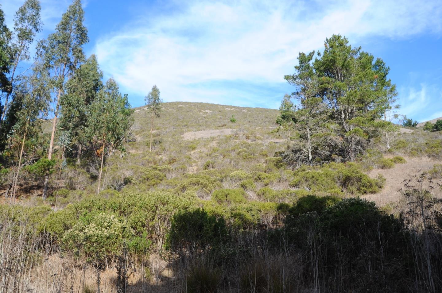 425 DEHOFF CANYON Road, HALF MOON BAY, California 94019, ,Lots And Land,For Sale,DEHOFF CANYON Road,40962284
