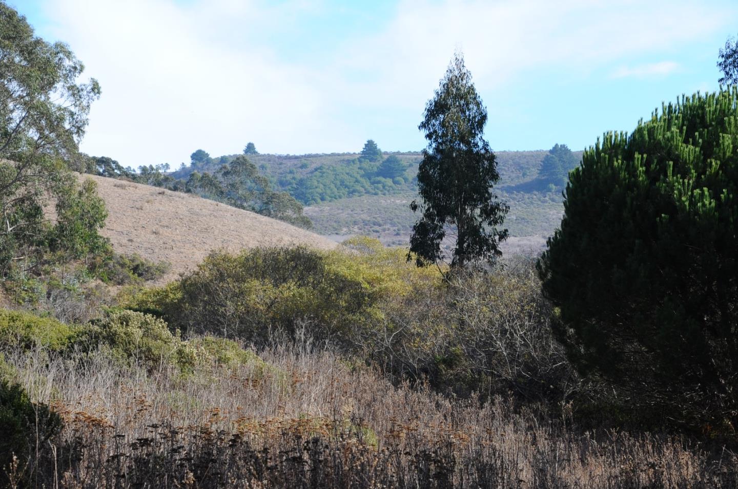 425 DEHOFF CANYON Road, HALF MOON BAY, California 94019, ,Lots And Land,For Sale,DEHOFF CANYON Road,40962284