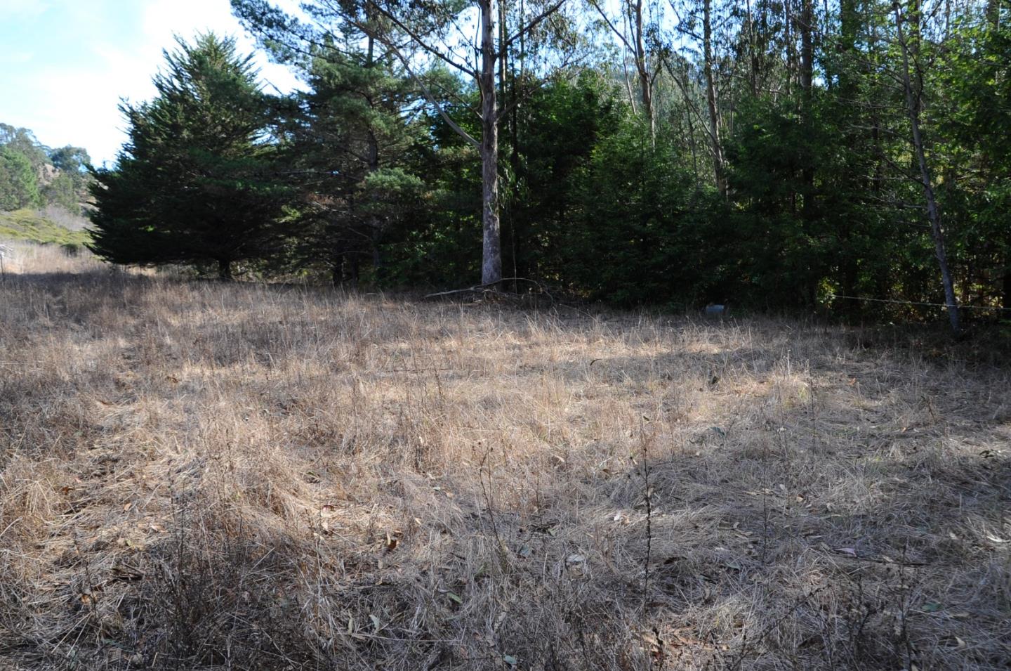 425 DEHOFF CANYON Road, HALF MOON BAY, California 94019, ,Lots And Land,For Sale,DEHOFF CANYON Road,40962284