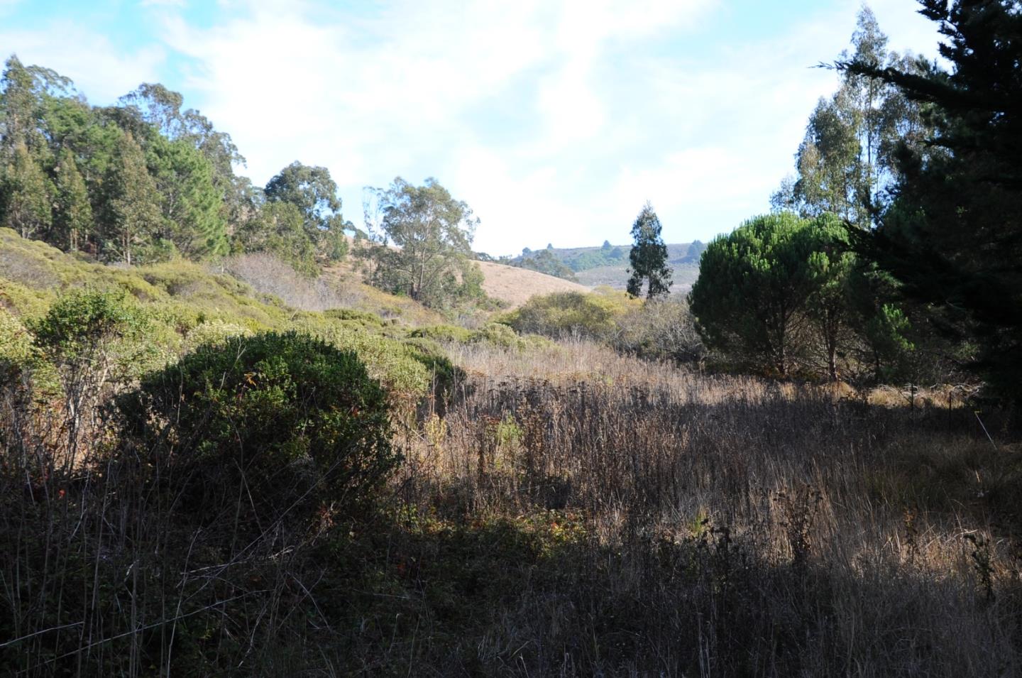 425 DEHOFF CANYON Road, HALF MOON BAY, California 94019, ,Lots And Land,For Sale,DEHOFF CANYON Road,40962284