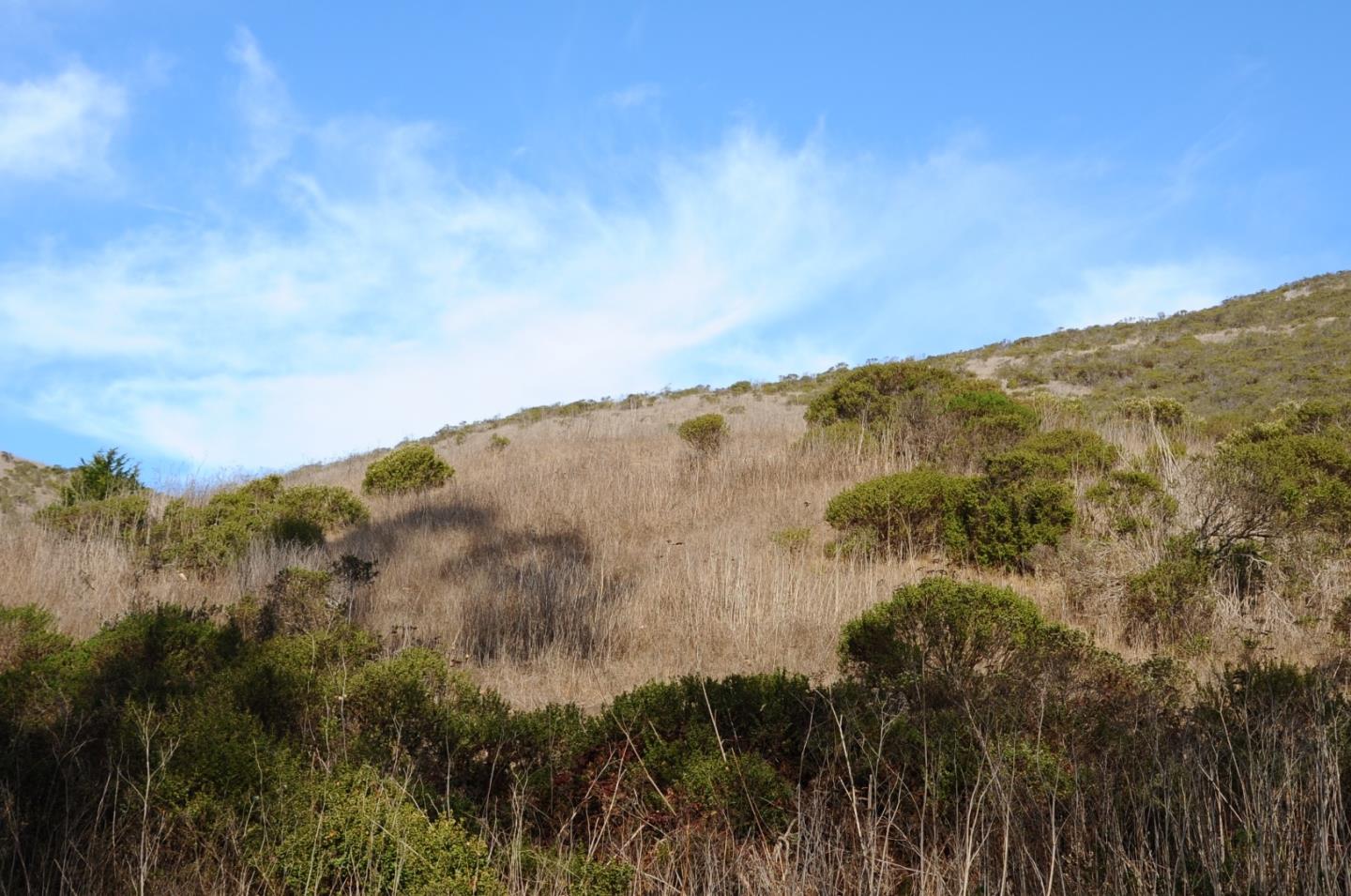 425 DEHOFF CANYON Road, HALF MOON BAY, California 94019, ,Lots And Land,For Sale,DEHOFF CANYON Road,40962284