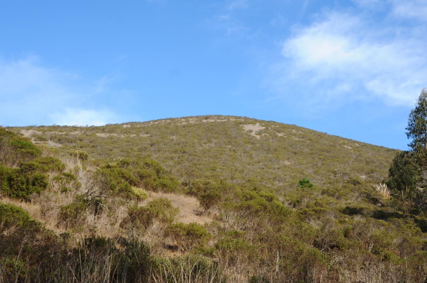 425 DEHOFF CANYON Road, HALF MOON BAY, California 94019, ,Lots And Land,For Sale,DEHOFF CANYON Road,40962284